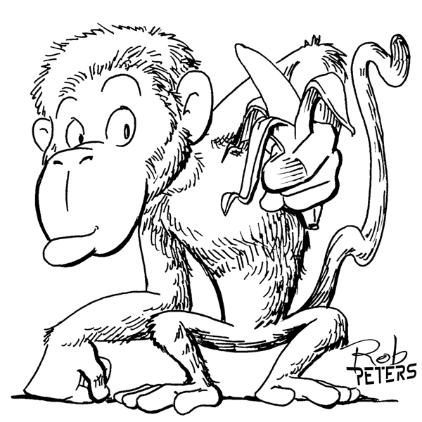 Monkey01