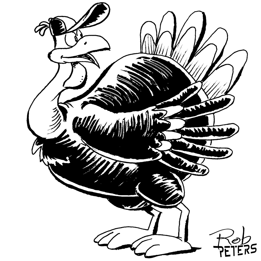 Daily Drawing Turkey 15 Rob Peters Illustration BlogRob Peters