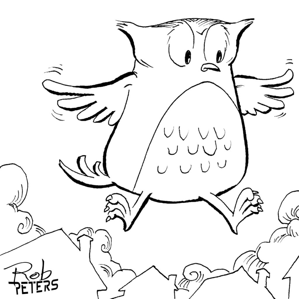 Owl16