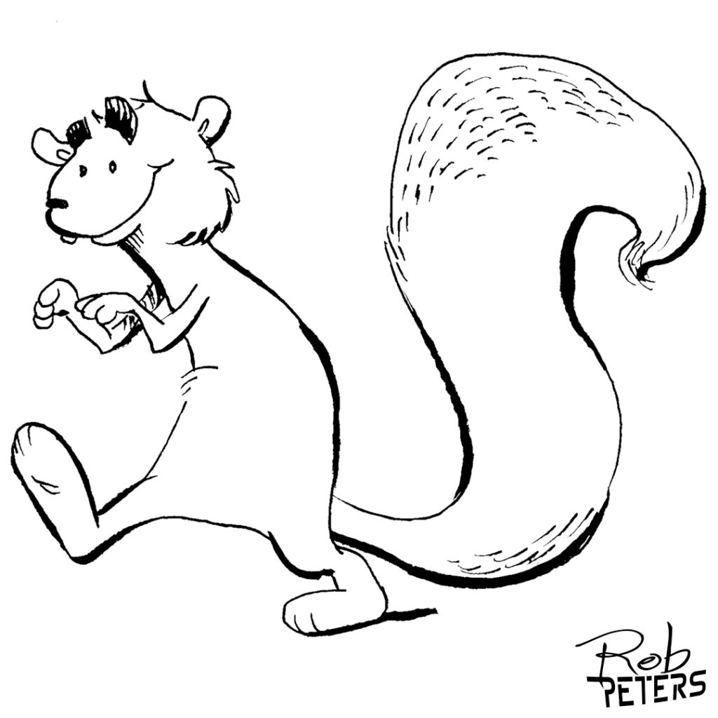 Squirrel03