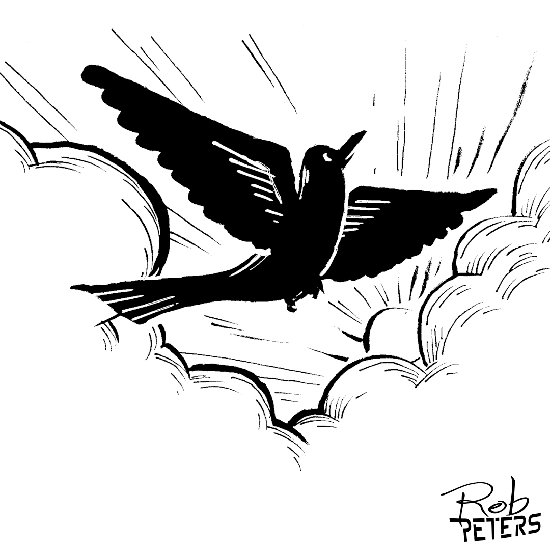 Daily Drawing: Bird 2 - Rob Peters Illustration BlogRob Peters