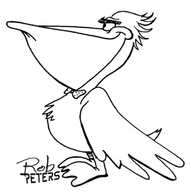 Daily Drawing: Pelican 3 - Rob Peters Illustration BlogRob Peters