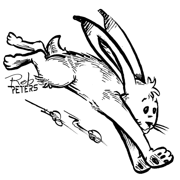 Daily Drawing: Rabbit 4 - Rob Peters Illustration BlogRob Peters ...