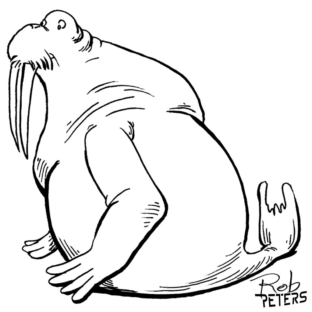 Walrus07