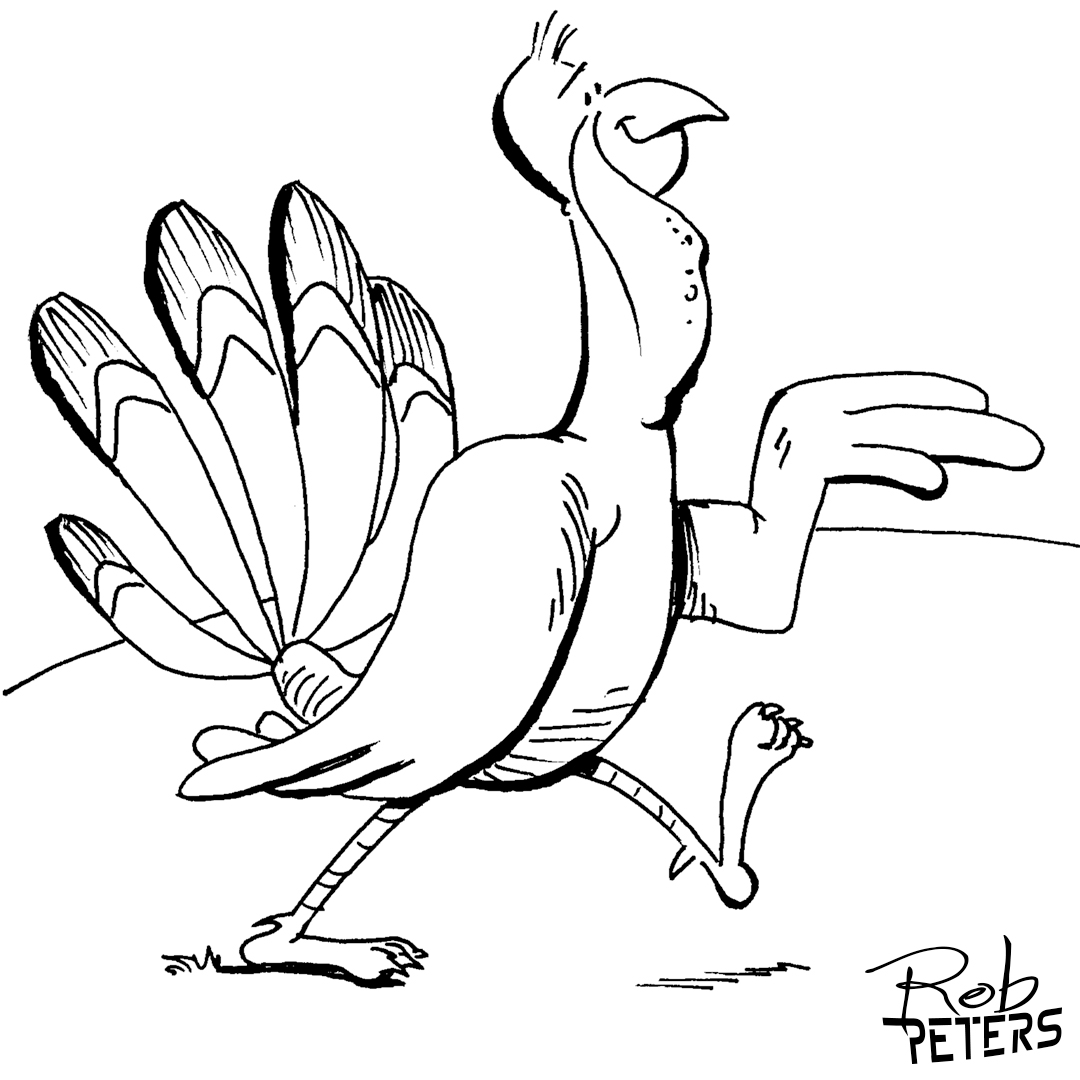 Daily Drawing: Turkey 2 - Rob Peters Illustration BlogRob Peters