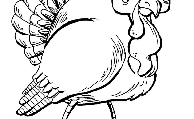 Daily Drawing: Turkey 7 - Rob Peters Illustration BlogRob Peters