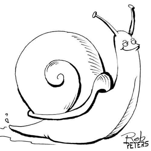 Daily Drawing Snail 1 Rob Peters Illustration BlogRob Peters 
