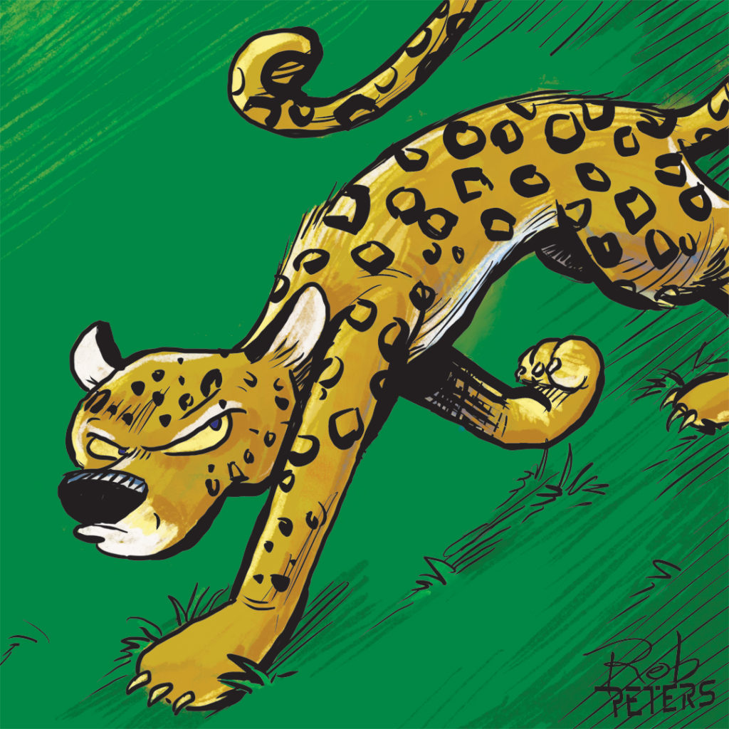 Jaguar04_color