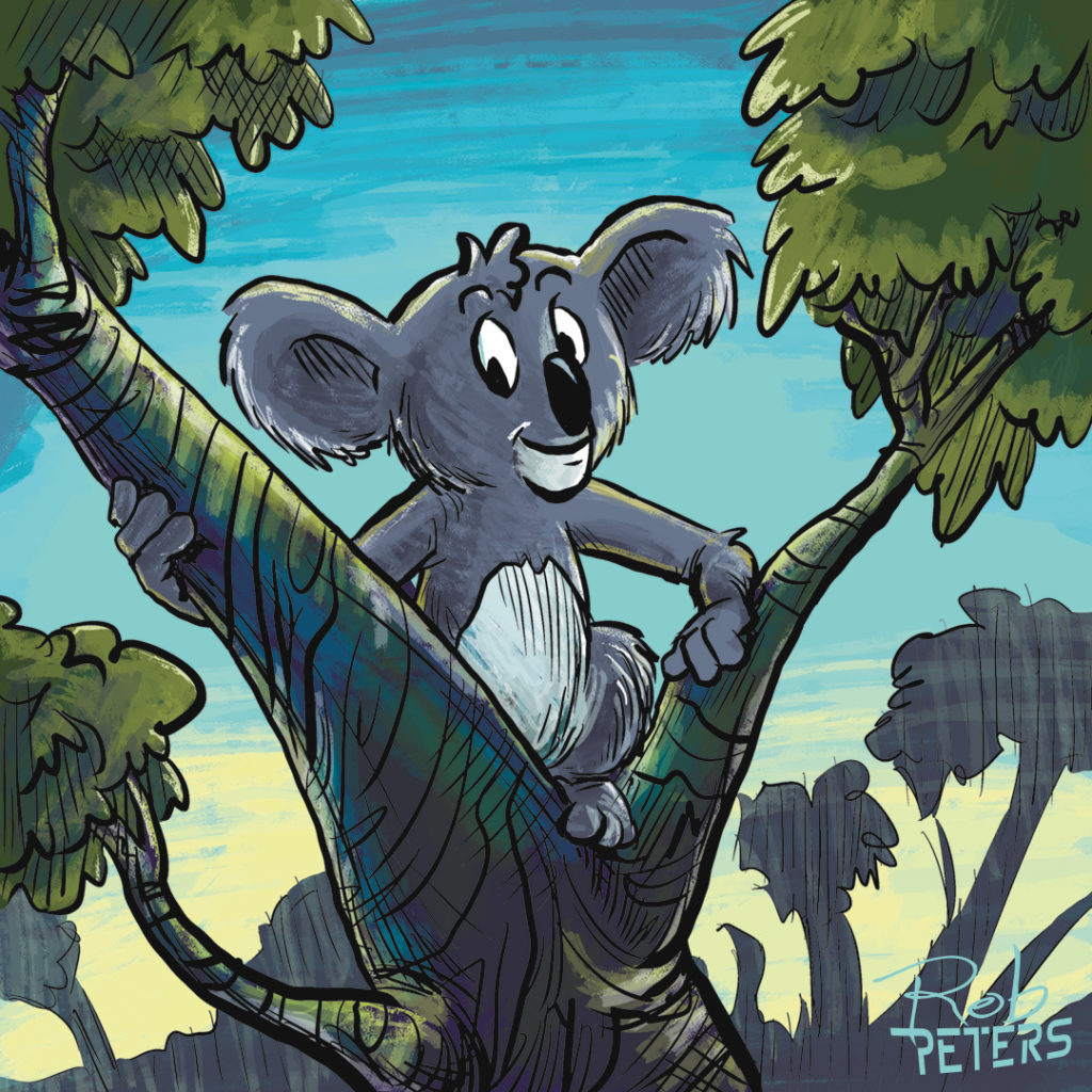 koala4_color