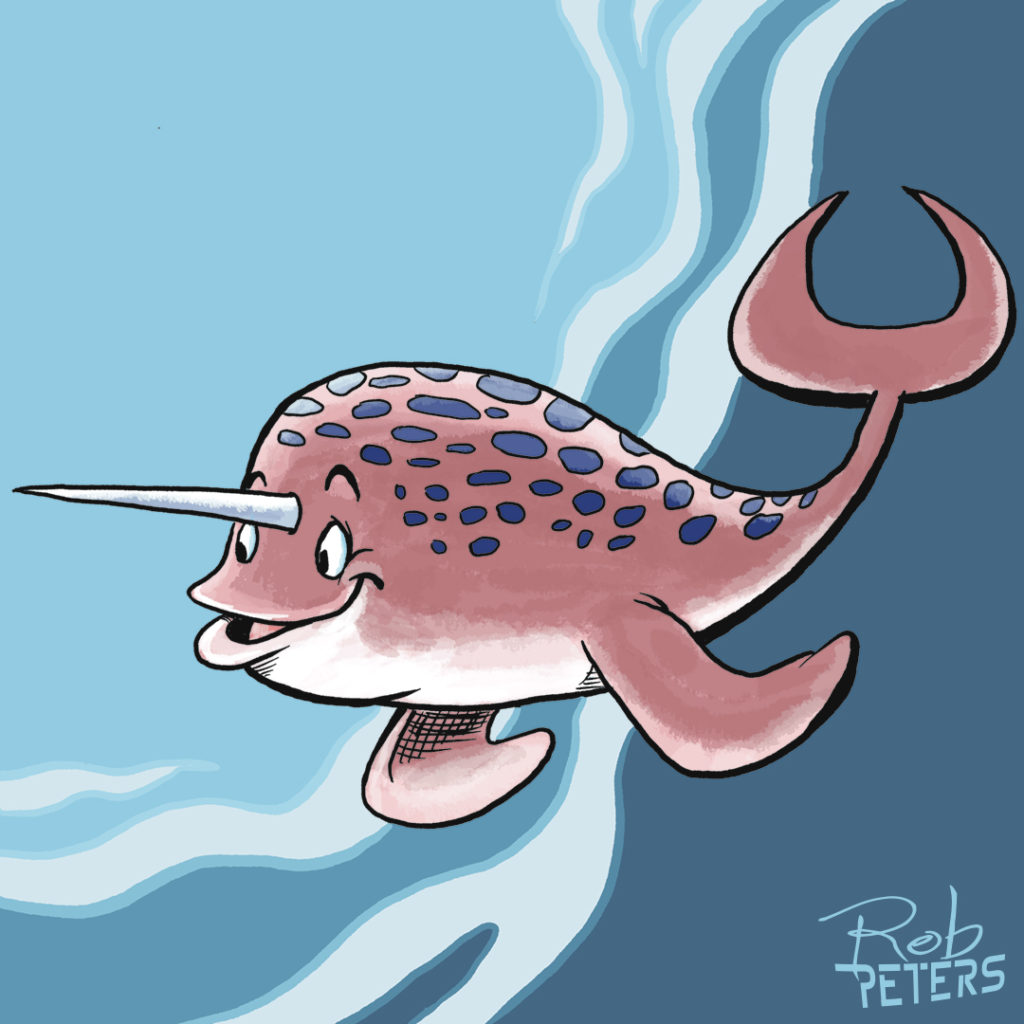 Narwhal19_color