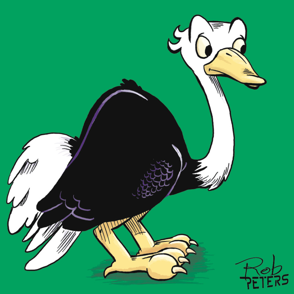 Ostrich03_color