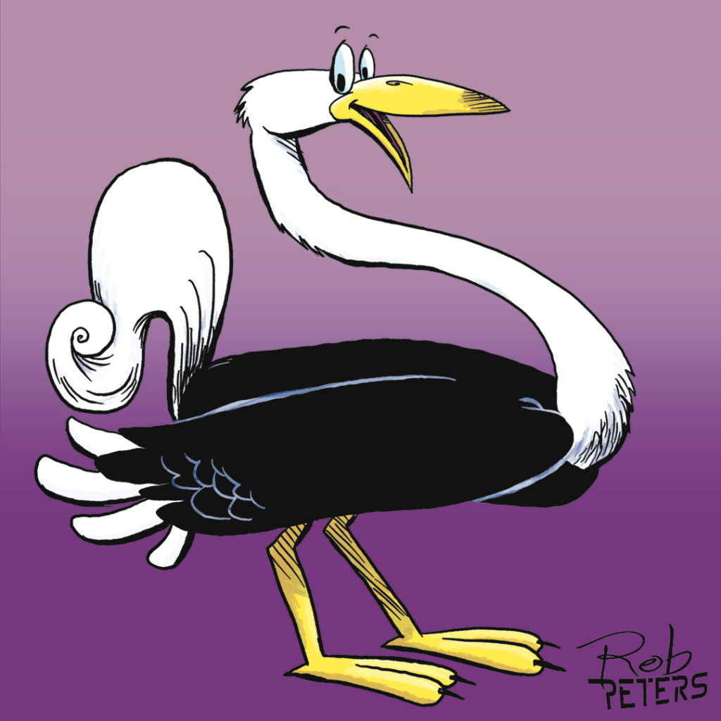 Ostrich04_color