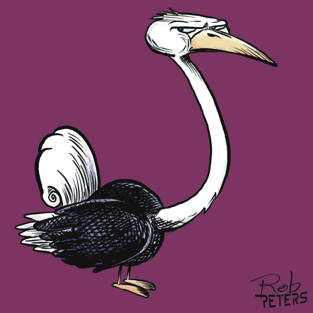 Ostrich06_color