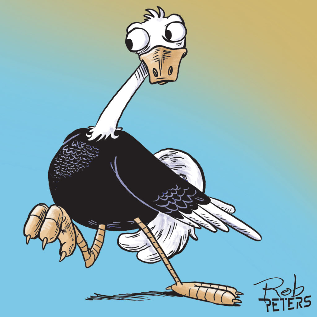 Daily Drawing: Ostrich 15 - Rob Peters Illustration BlogRob Peters  Illustration Blog