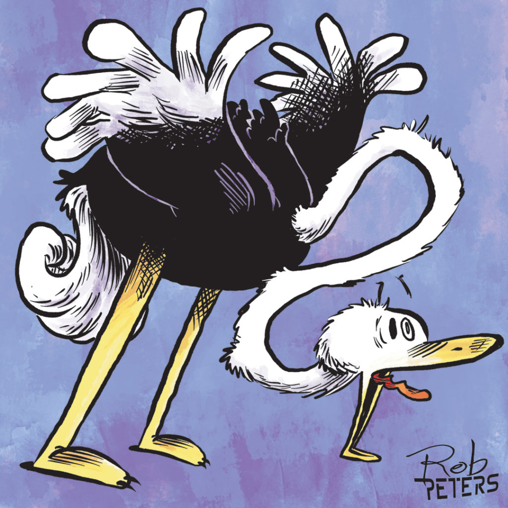 Daily Drawing: Ostrich 21 - Rob Peters Illustration BlogRob Peters  Illustration Blog
