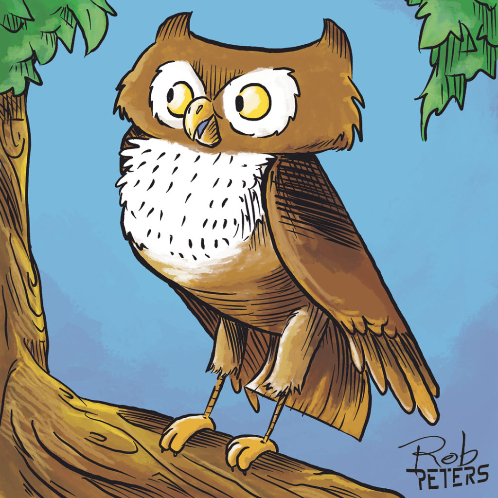 Owl01_color