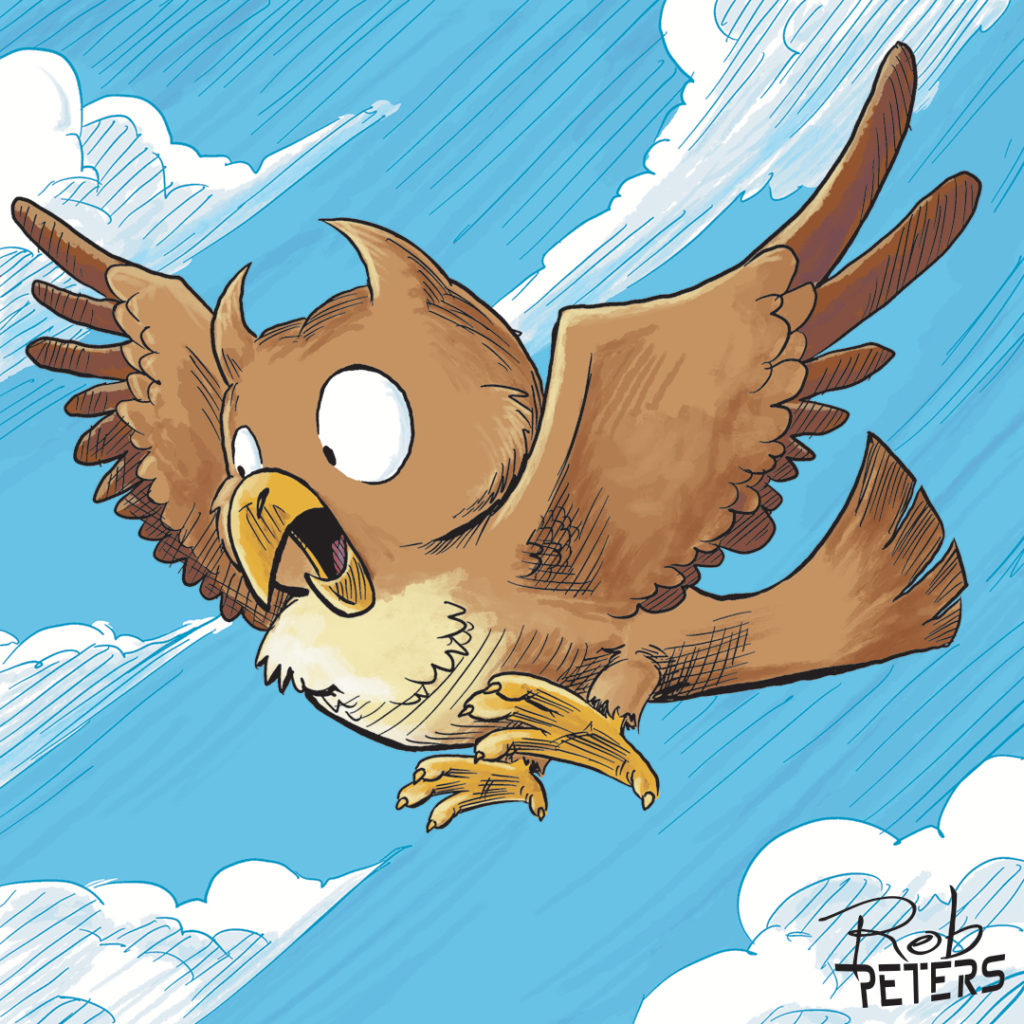 Owl02_color