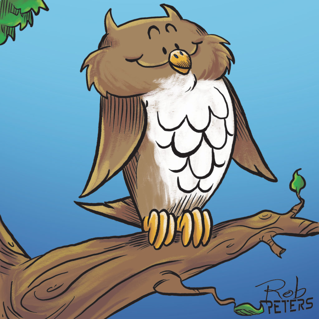 Owl07_color