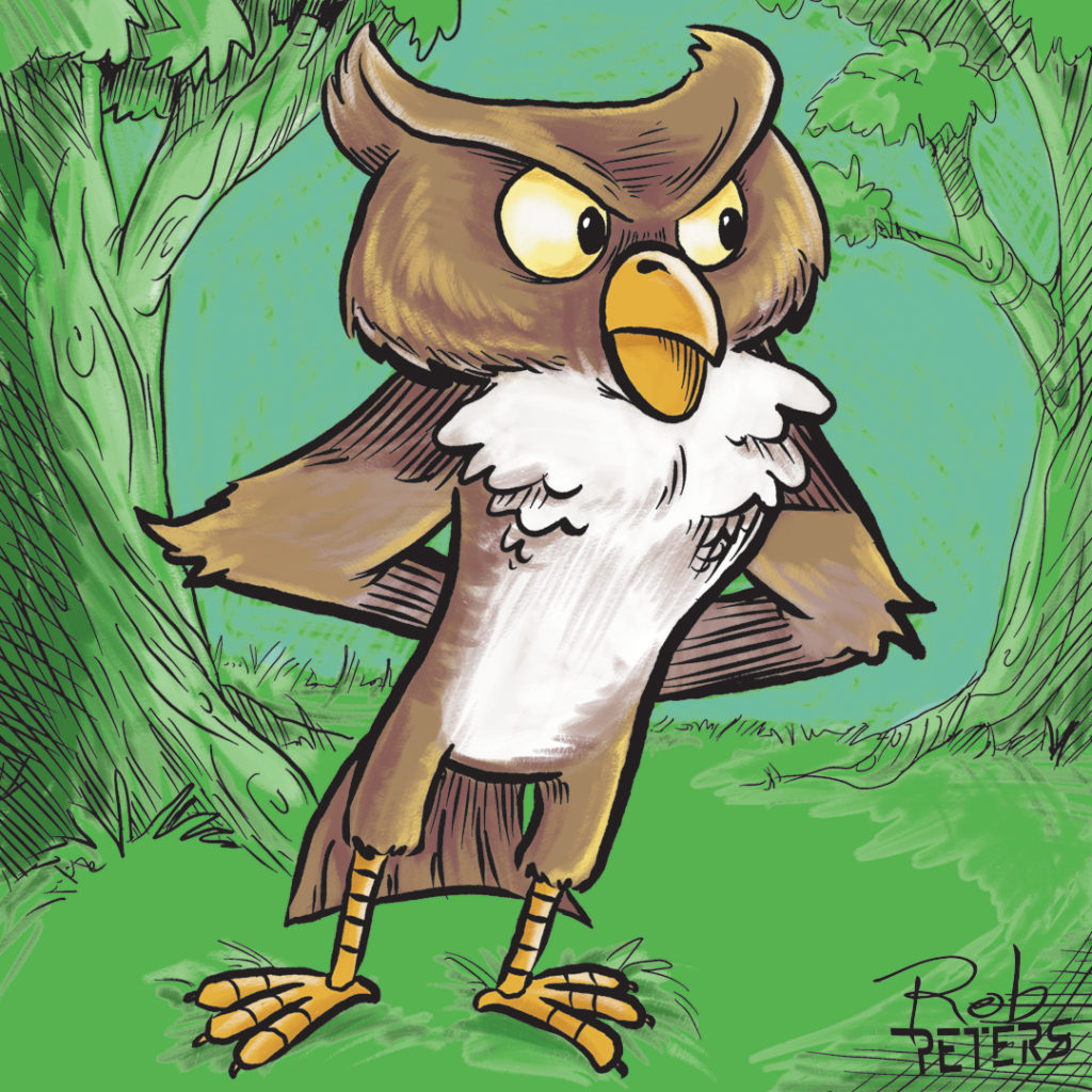 Owl09_color