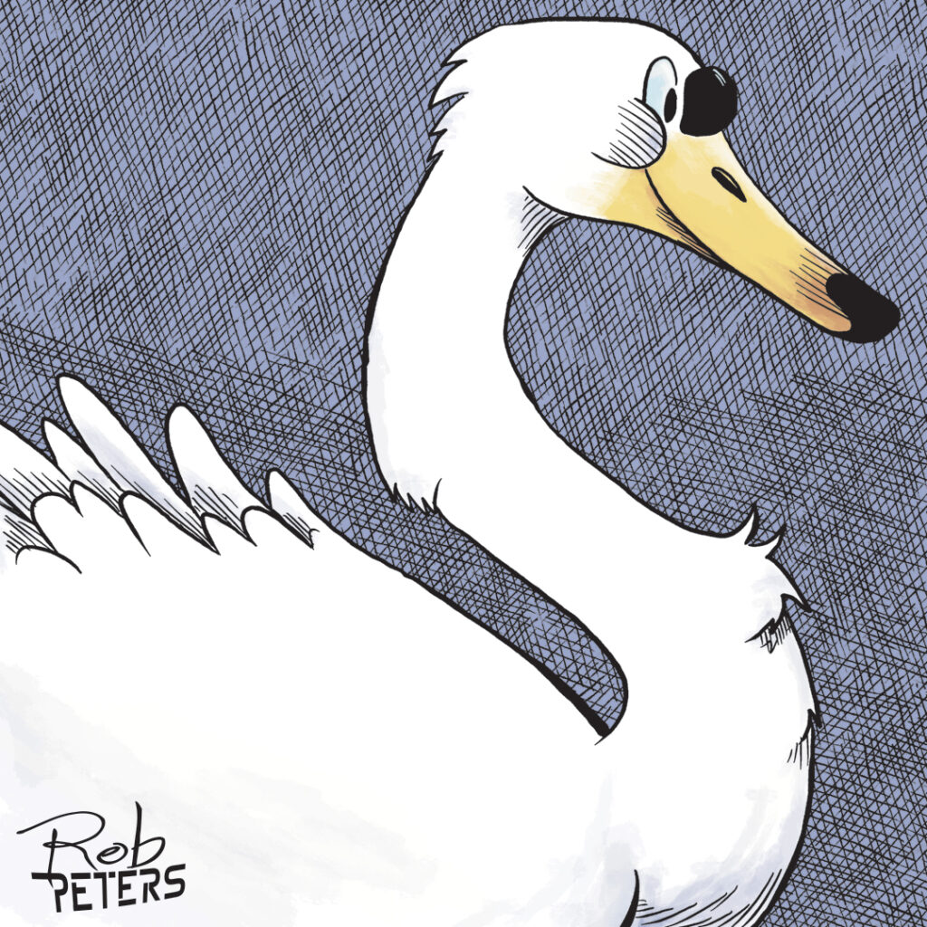 Swan08_color