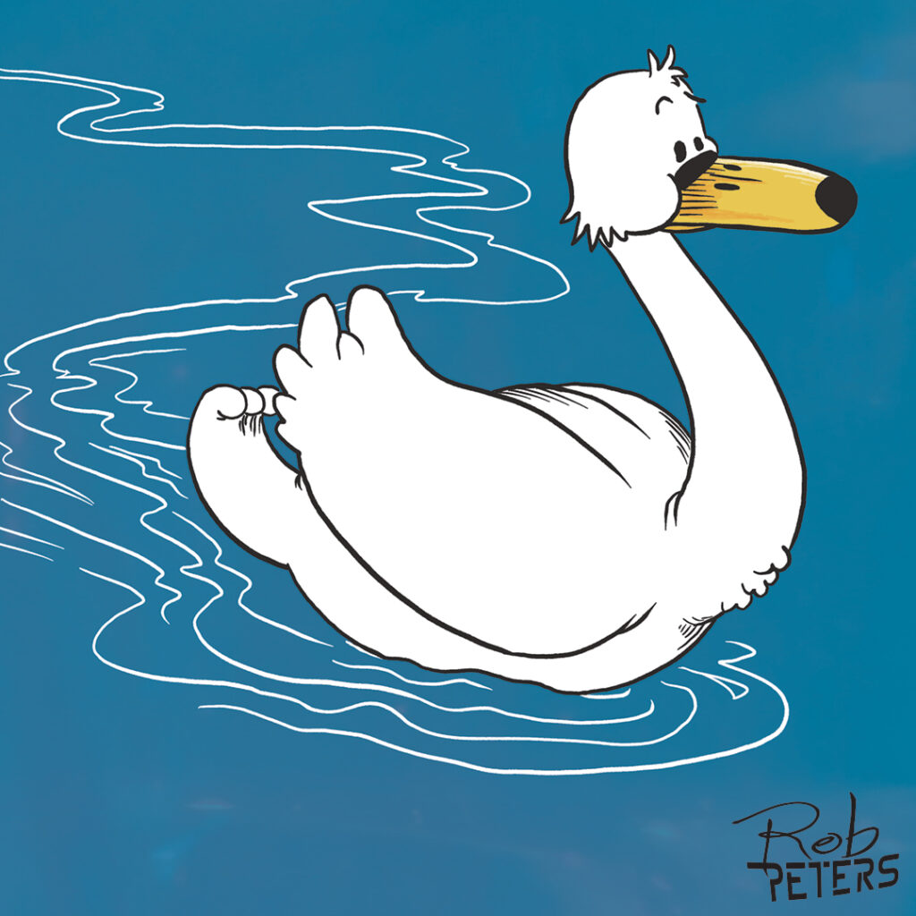 Swan16_color