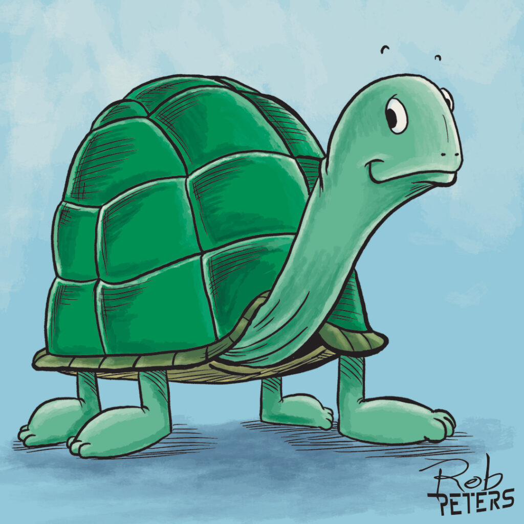 Turtle01_color