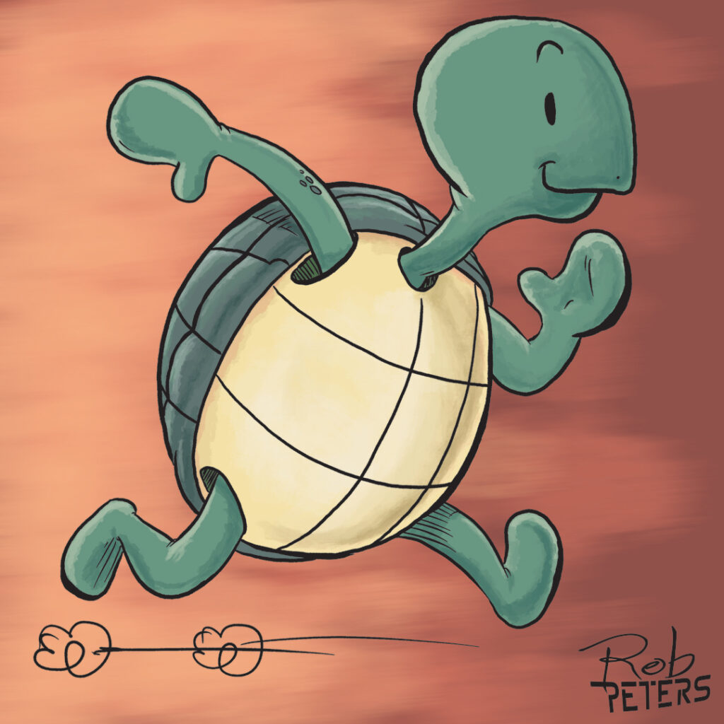 Turtle02_color