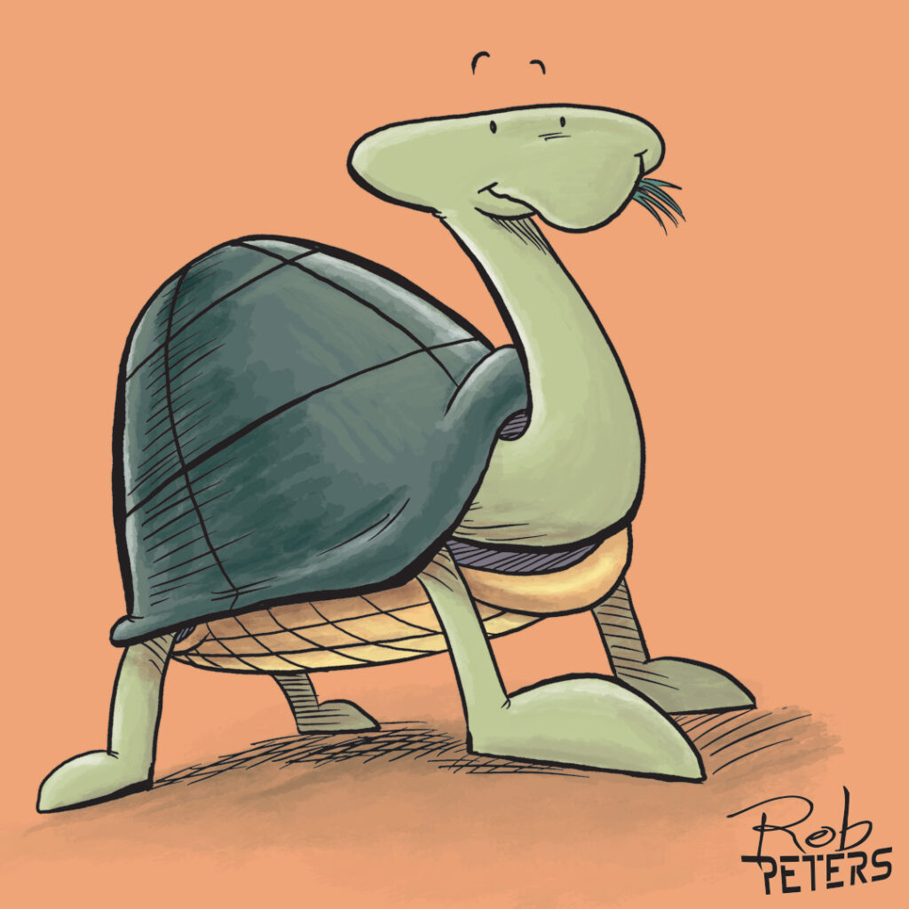 Turtle03_color