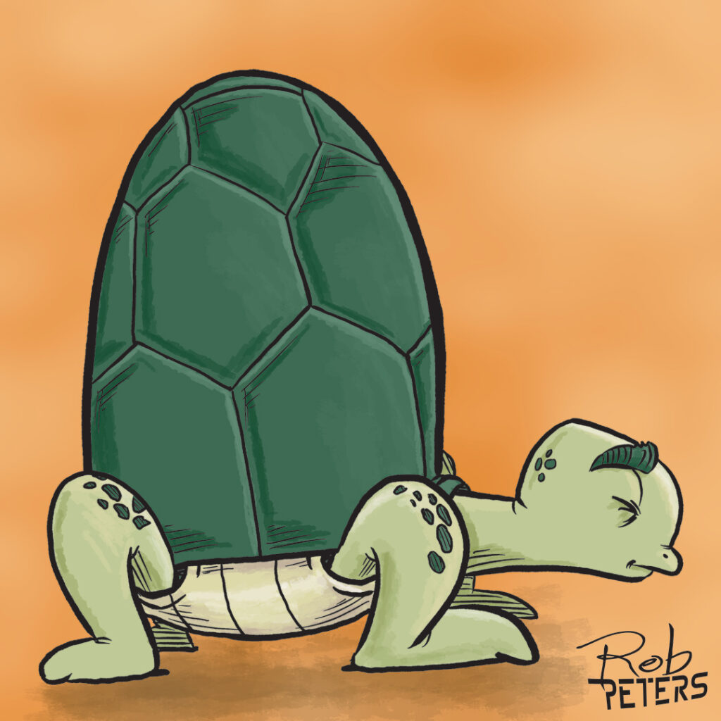 Turtle04_color