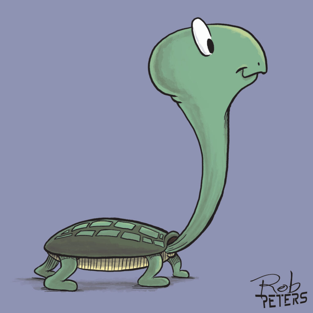 Turtle11_color