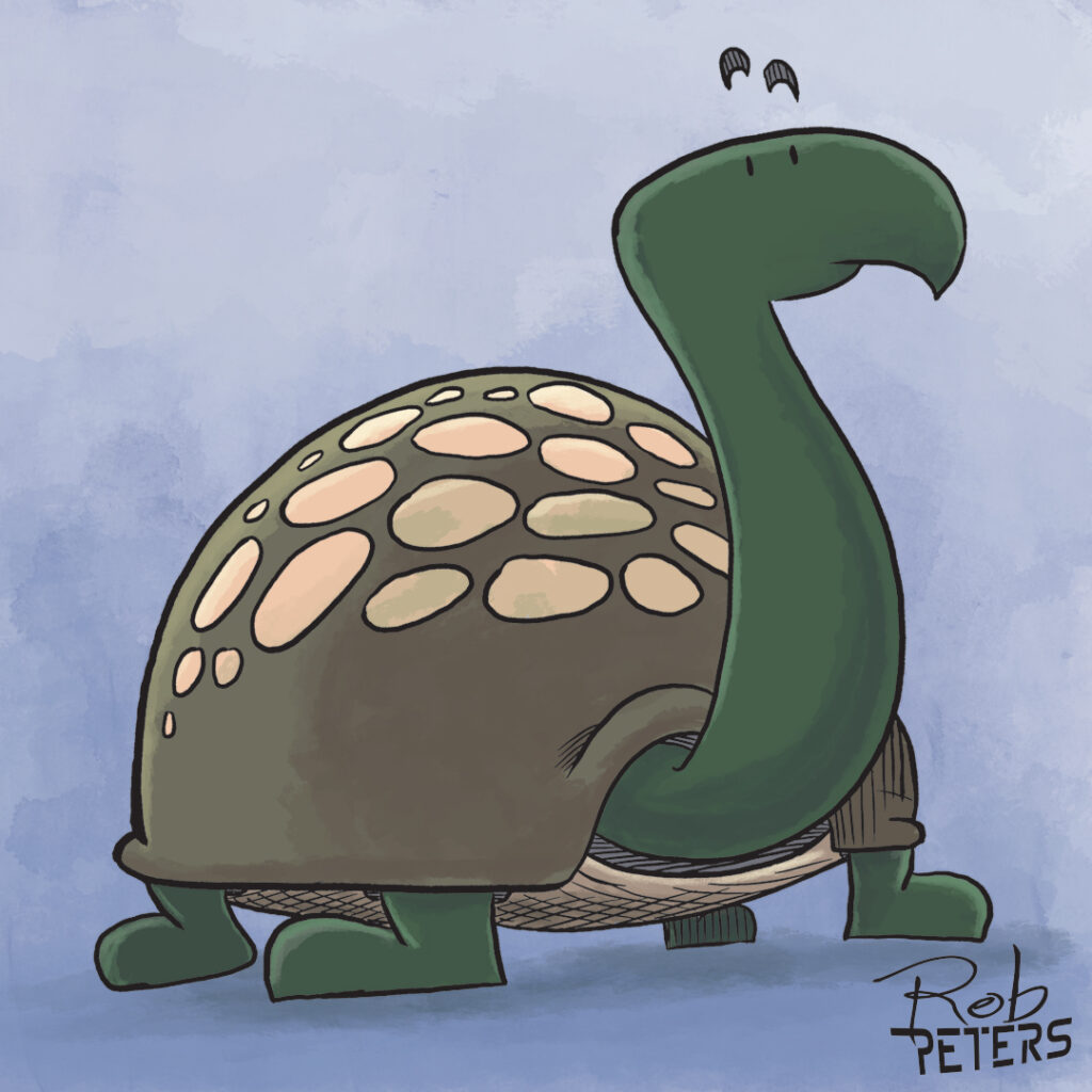 Turtle13_color