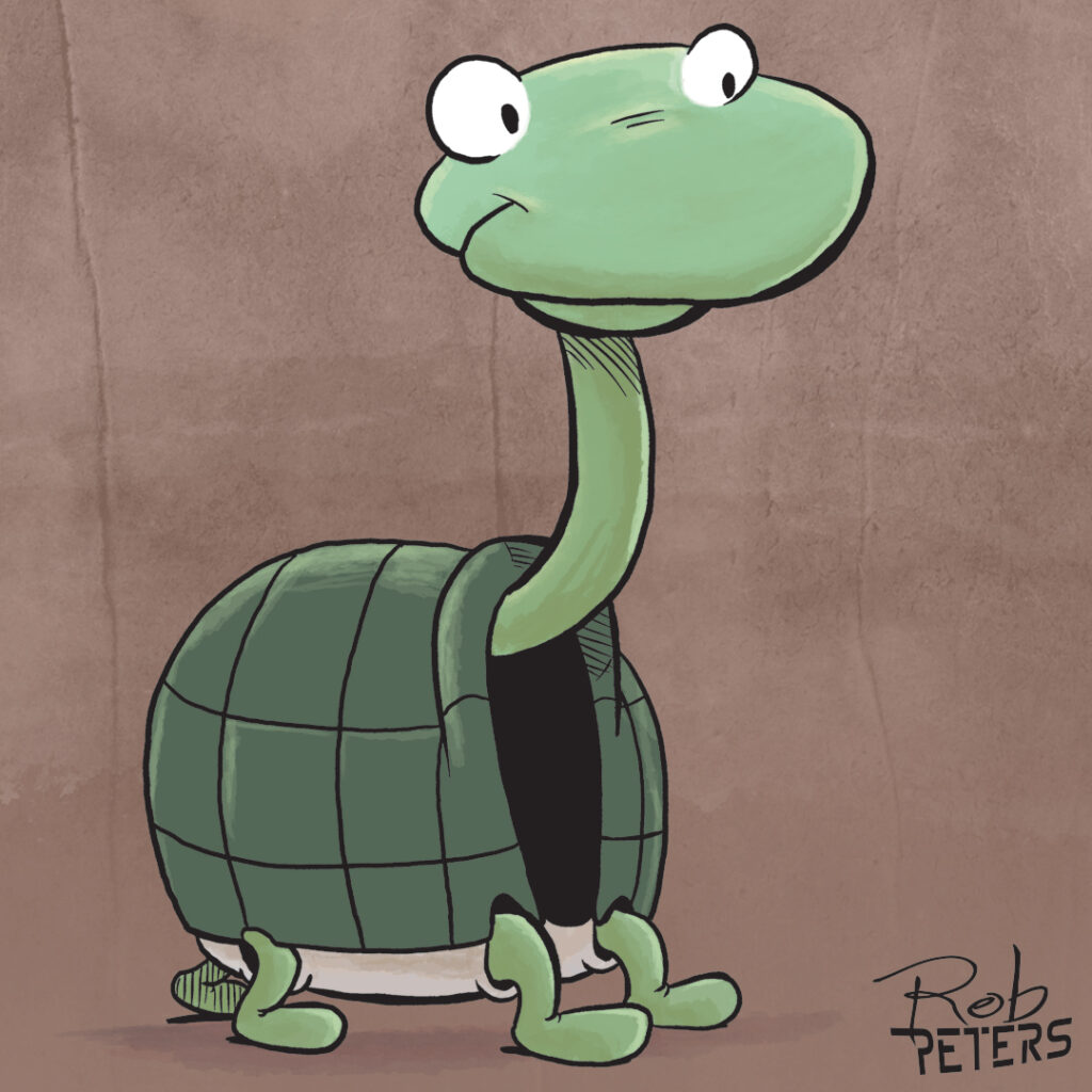 Turtle14_color