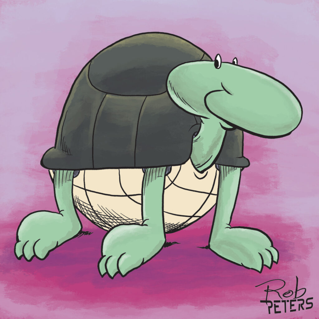 Turtle18_color