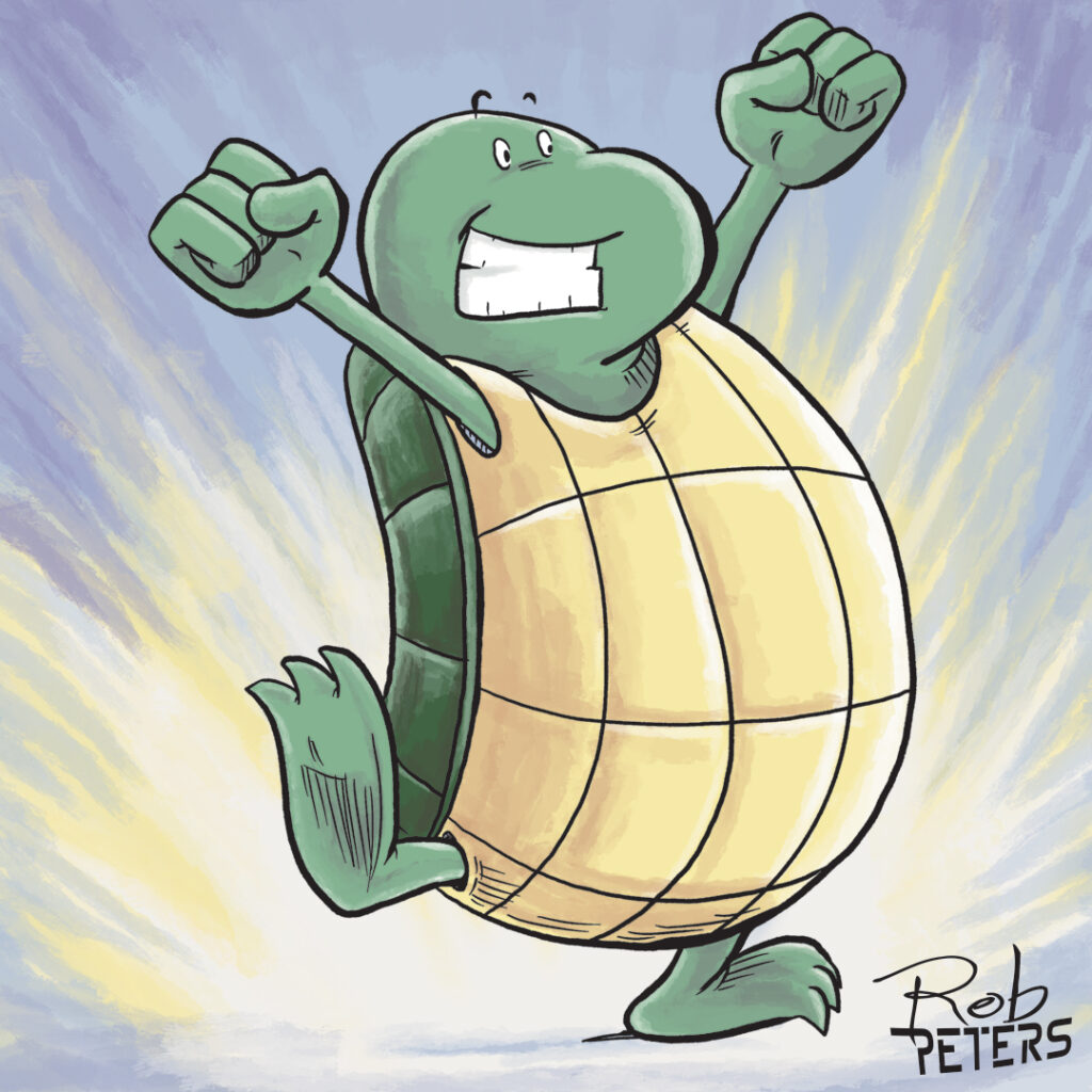 Turtle23_color