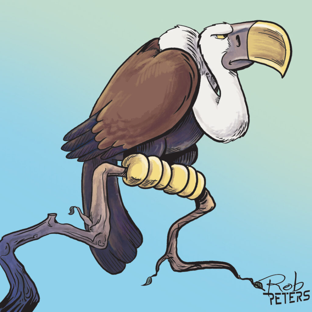 Vulture01_color