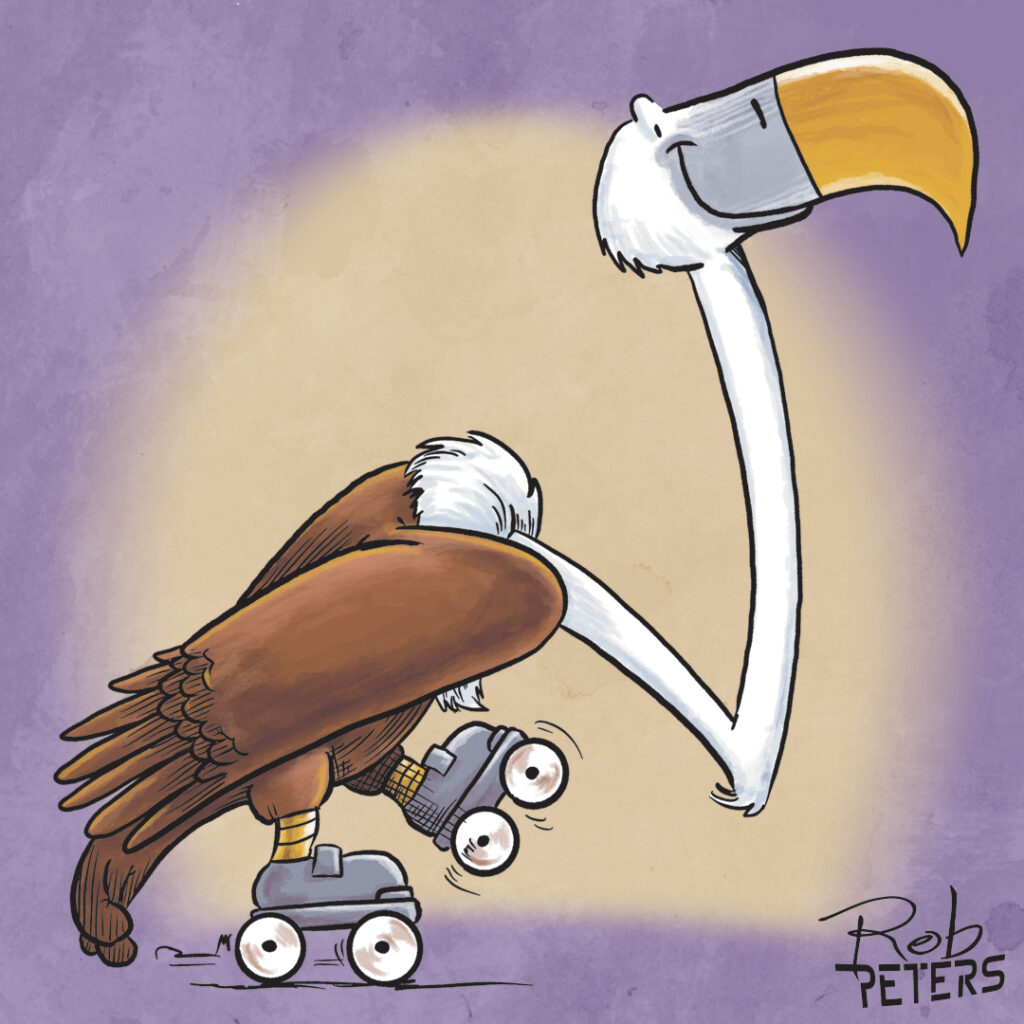 Vulture06_color