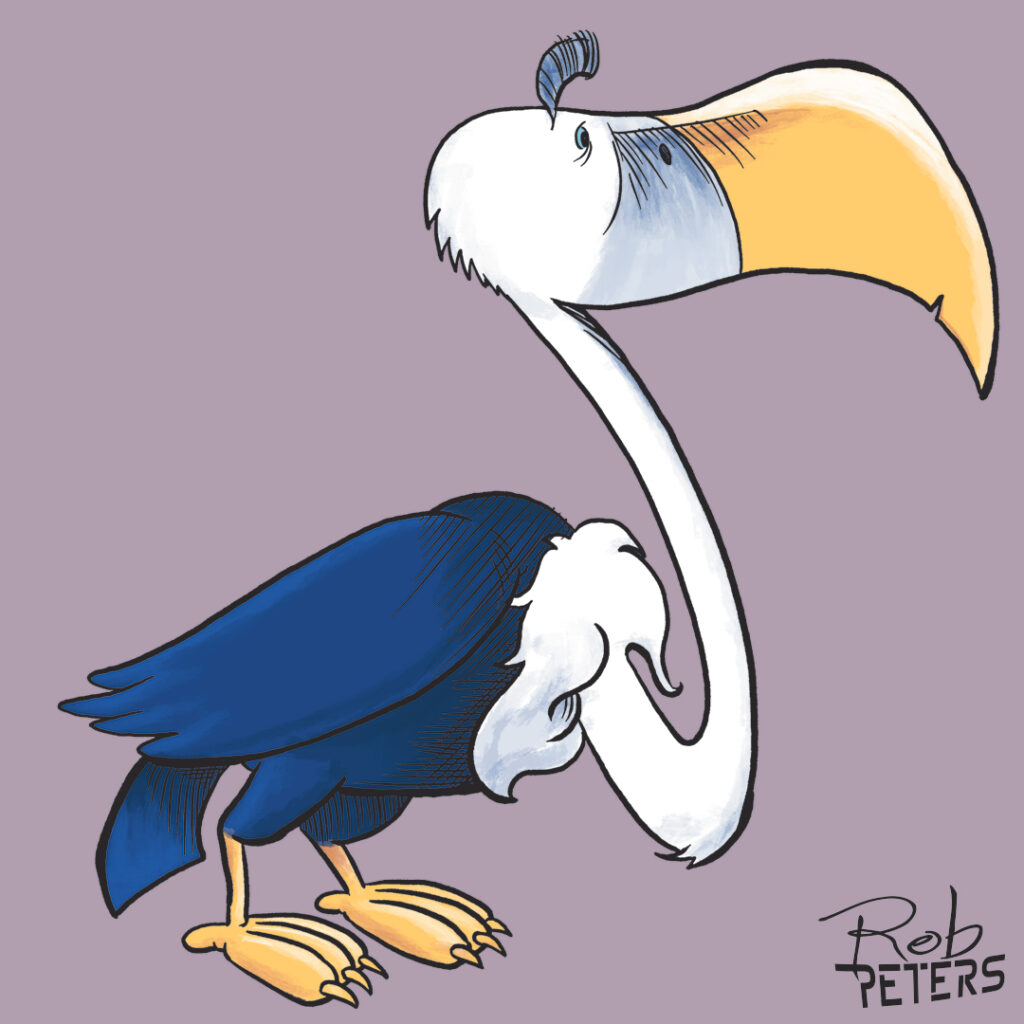 Vulture16_color