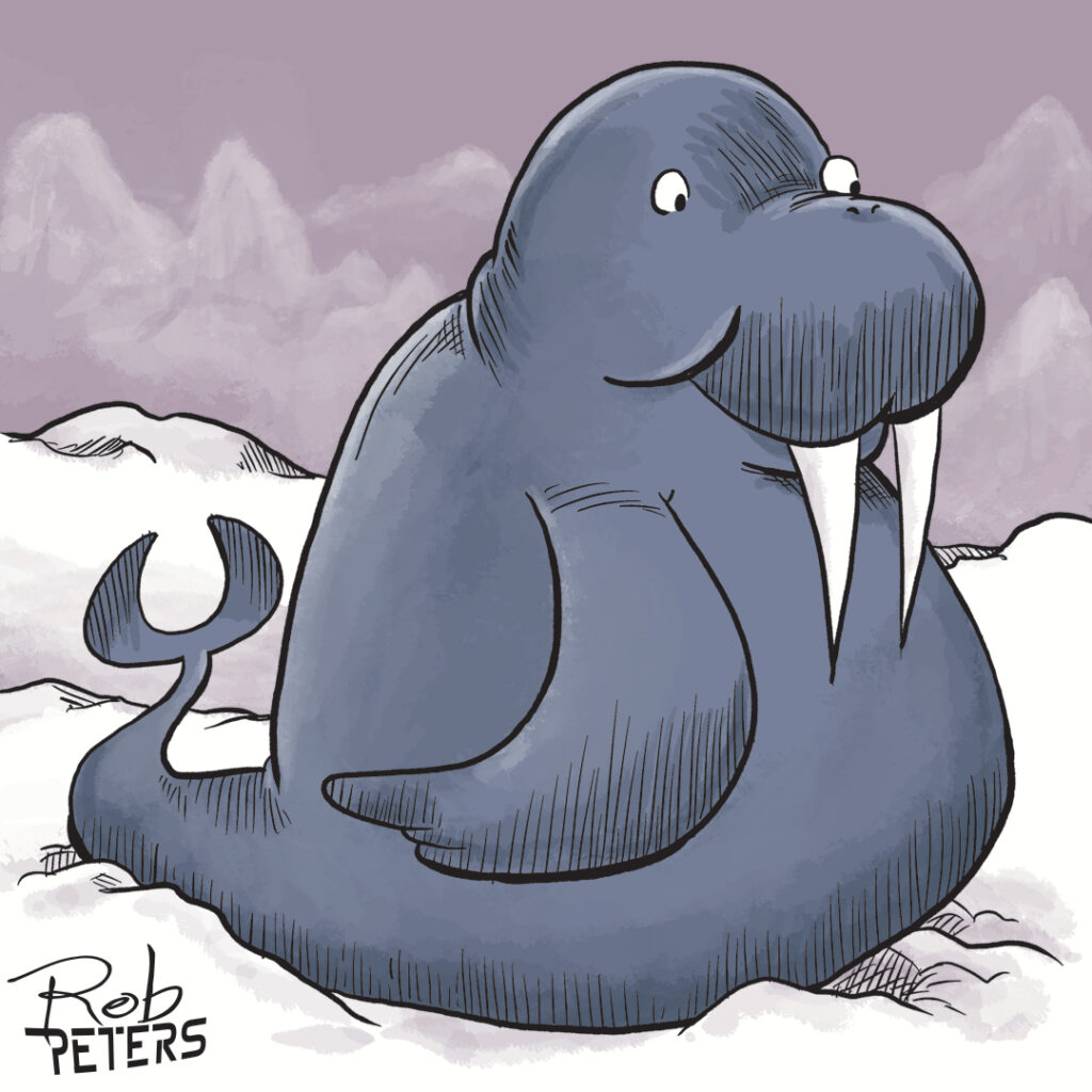 Walrus09_color